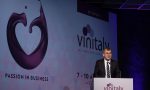 Nuova data per l’attesa 54esima edizione del Vinitaly: da aprile slitta a giugno