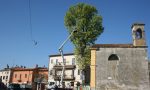 Verifica statica del grande albero davanti alla chiesetta di via Olmo a Montorio