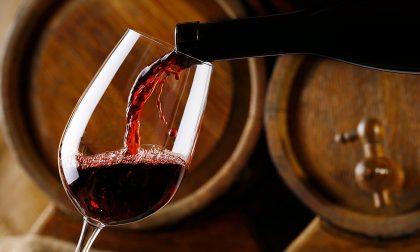 Coldiretti: "Consumare vino italiano per salvare 1,3 milioni di posti