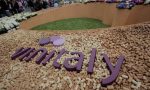 Vinitaly 2019, spopola il vino biologico con un balzo del 18% sull'anno precedente