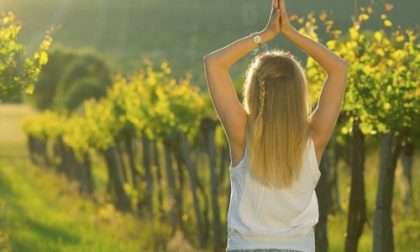 Yoga in cantina, una giornata tra meditazione e degustazioni