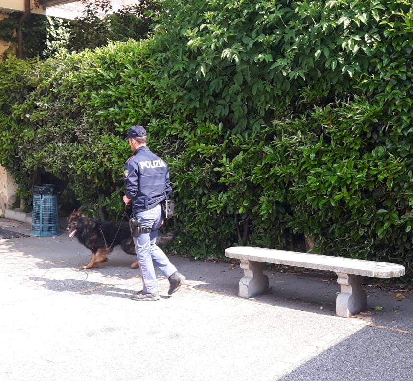 Marijuana nel calzino: sequestrati 83 grammi di sostanza a Verona