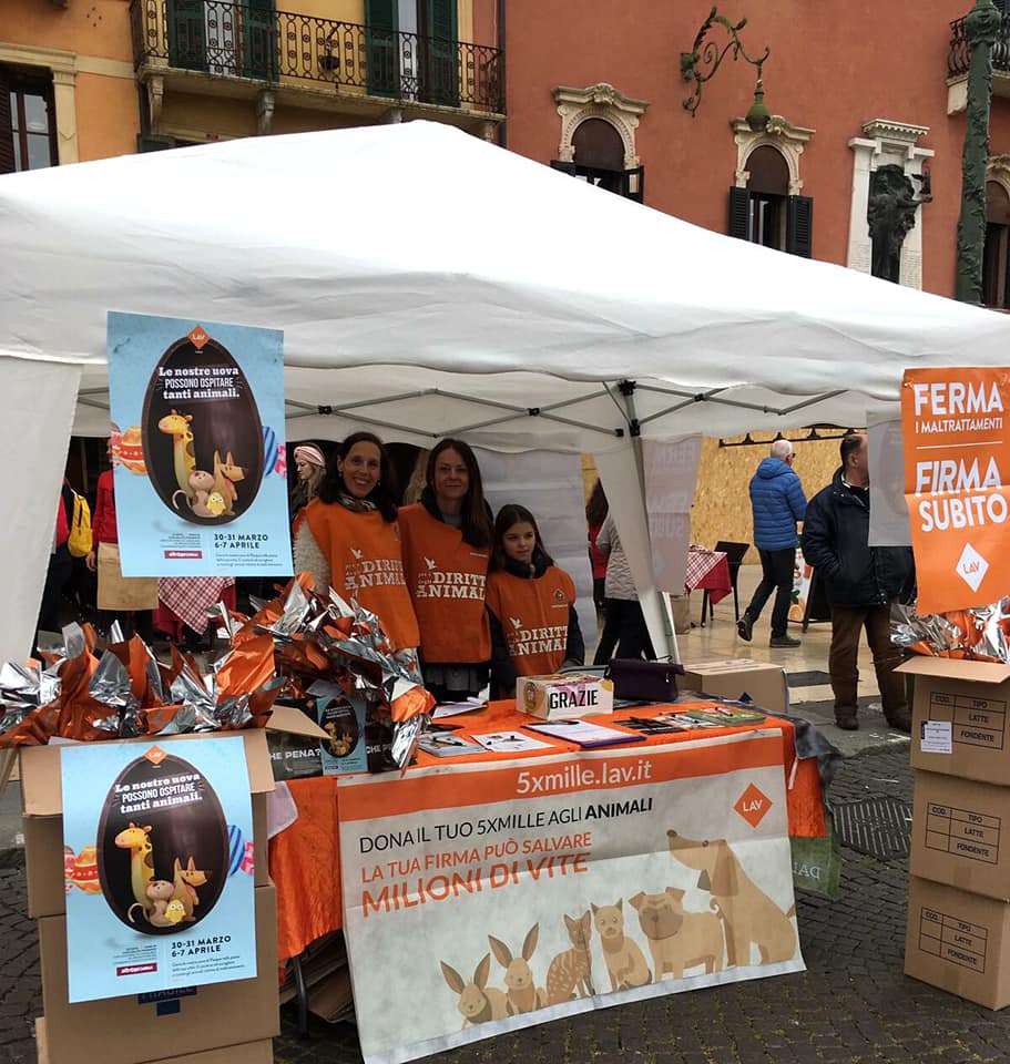 La Lav scende in piazza a Verona contro sfruttamento e maltrattamento degli animali