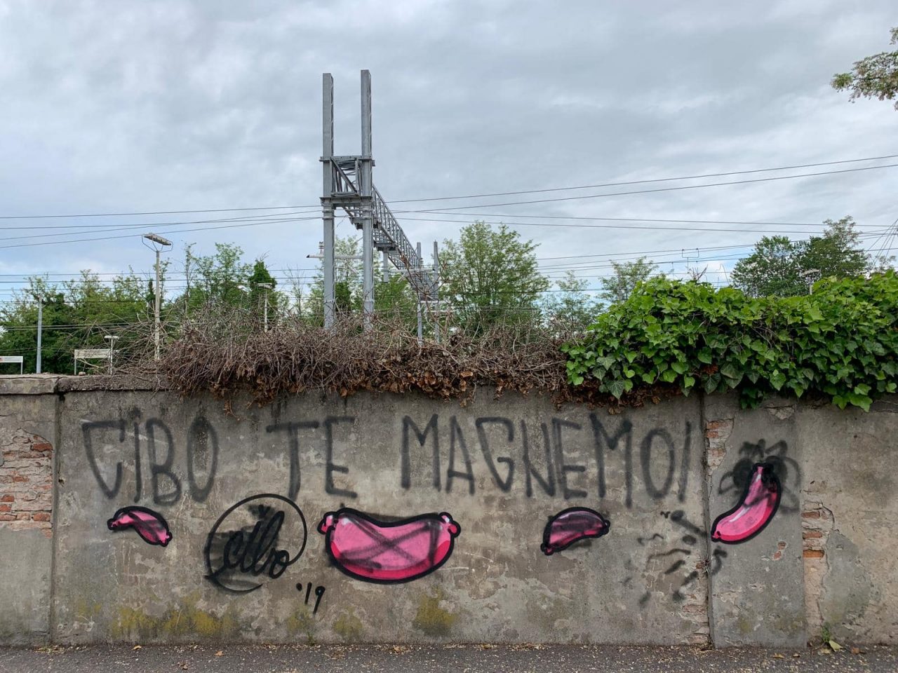 Imbrattati di nuovo i murales di Cibo e scout a San Bonifacio