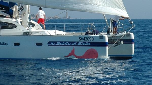 Ortopedica Scaligera mostra i nuovi ausili per disabili