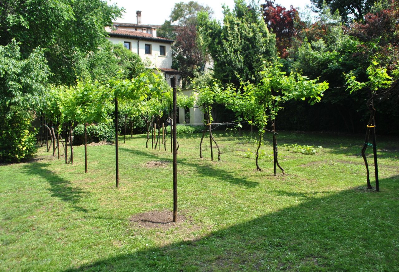 “Giardini Aperti”, i più bei cortili di Veronetta per la prima volta visibili al pubblico