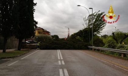 Maltempo, disastro sul Garda ma danni in tutta la provincia e in Veneto IMMAGINI