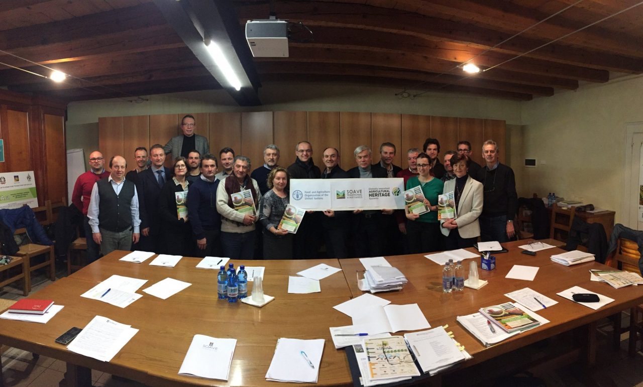 I Comuni approvano modello di gestione del vigneto Soave