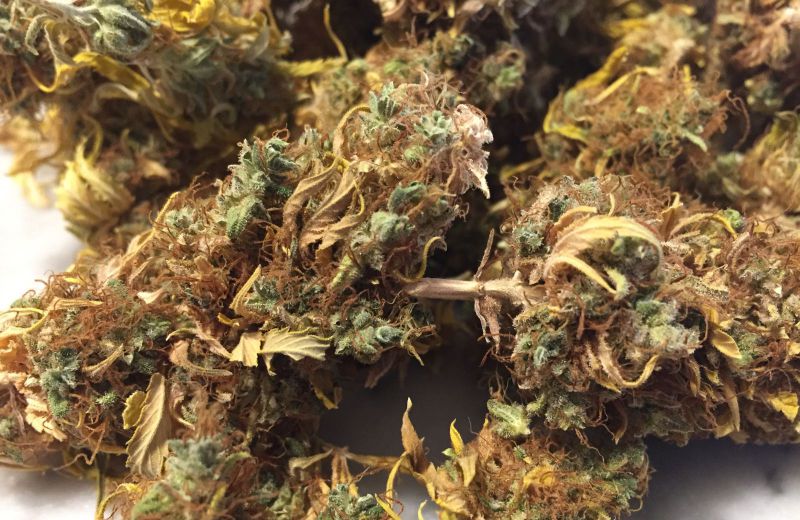Cannabis light, a Verona ne fanno uso anche minorenni