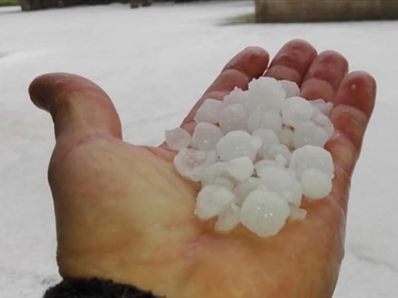 Grandine e freddo, gravi danni all’agricoltura di Isola della Scala
