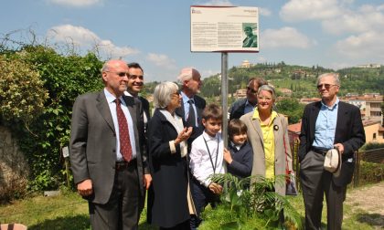 Giardini di Castel San Pietro intitolati ad Antonio Avena