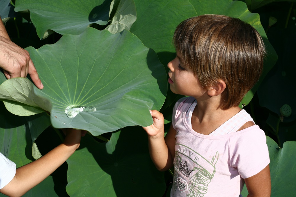 Al Parco Sigurtà arriva la Giornata dei bambini
