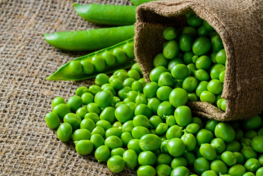 Bisi di Colognola protagonisti della cucina veronese nelle prossime settimane