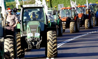 Quote latte, Veneto chiede di sospendere le azioni di recupero all'Agenzia delle Entrate