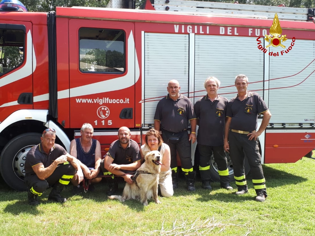 Cucciolo rischia di annegare nell’Adige, salvato dai vigili del fuoco
