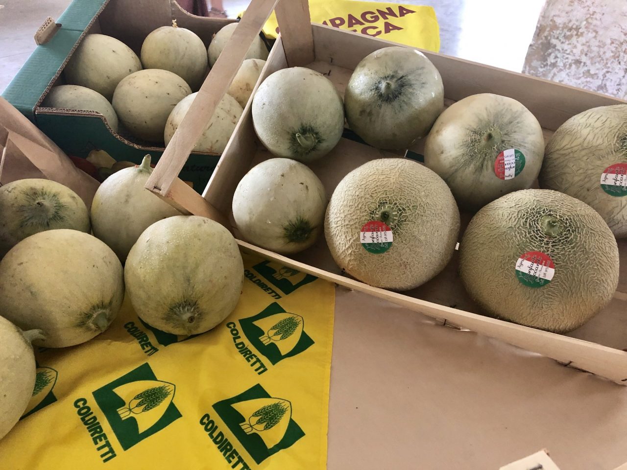 Caldo improvviso: come difendersi con una corretta alimentazione