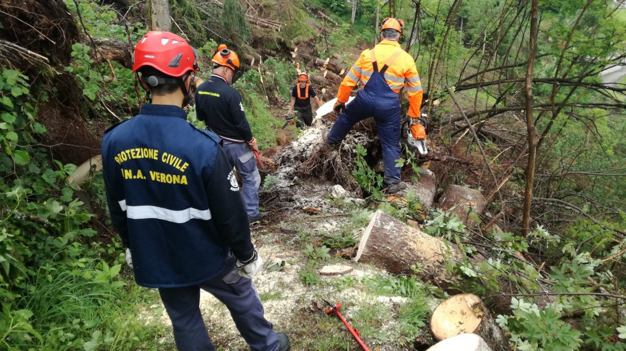I volontari della Protezione Civile dell'Ana sono al lavoro per liberare i sentieri lungo l'Agordino.