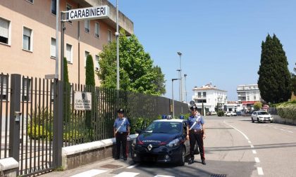 Ricercato olandese con una piantagione di cannabis arrestato a Peschiera