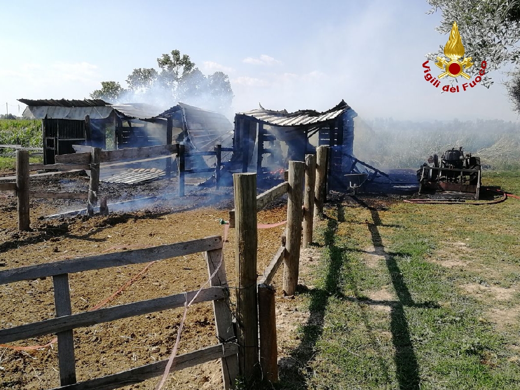 Incendio in un maneggio a Ronco all’Adige: salvi cinque cavalli FOTO e VIDEO