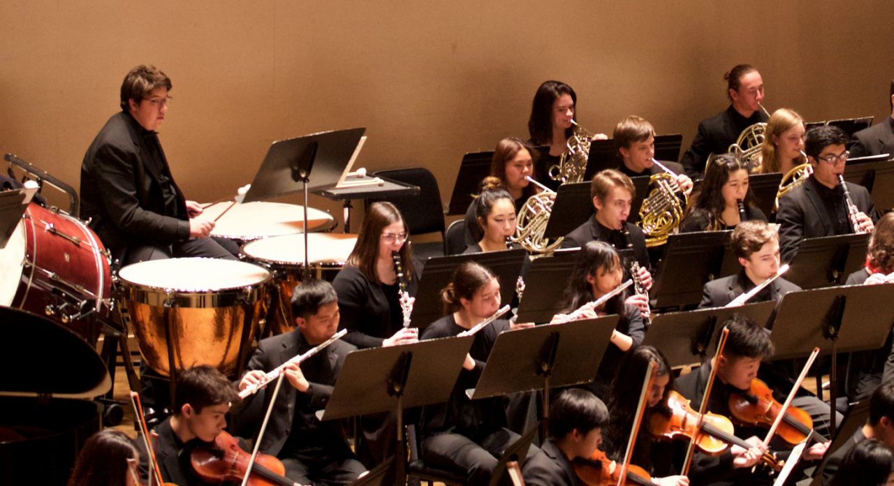 Metropolitan Youth Symphony arriva lo spettacolo gratuito a Verona