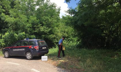 Grave incidente, perde il controllo ed esce di strada