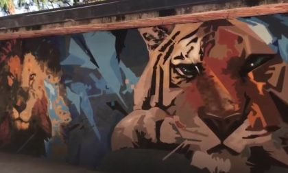 Ex zoo a Verona rivive grazie ai murales