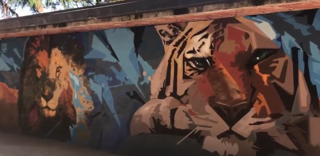 Ex zoo a Verona rivive grazie ai murales