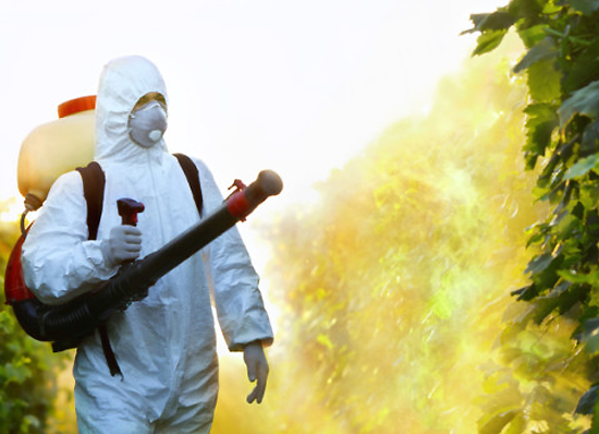 Denunciato agricoltore a Monteforte per detenzione di prodotti fitosanitari revocati