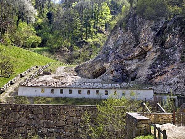 Punta da un insetto mentre visitava Bolca, ricoverata