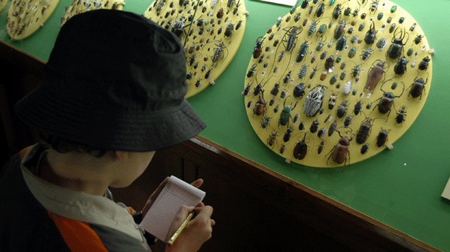 Domeniche al Museo di Storia Naturale di Verona