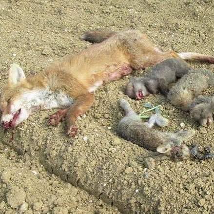 Stagione di caccia al via: protesta degli animalisti in piazza a Milano