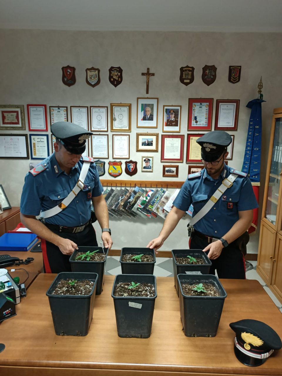 Coltivava marijuana in casa: arrestato 57enne di Zevio
