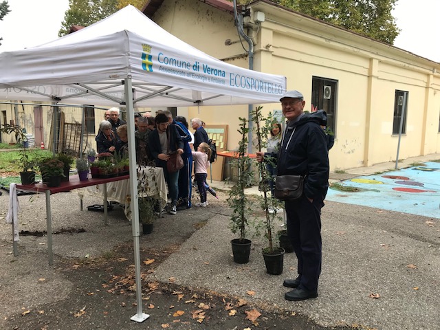 Donate 50 piante ai cittadini per incrementare il verde a Verona