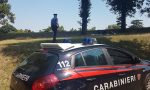 Nasconde droga in casa, arrestata a Cerro Veronese