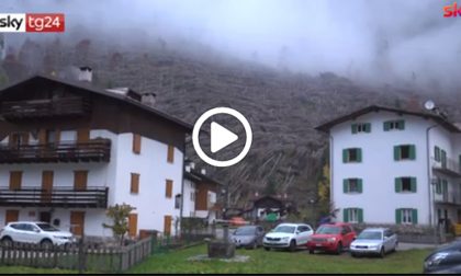 Tempesta Vaia, l'albero di Natale del Papa arriverà dal Veneto