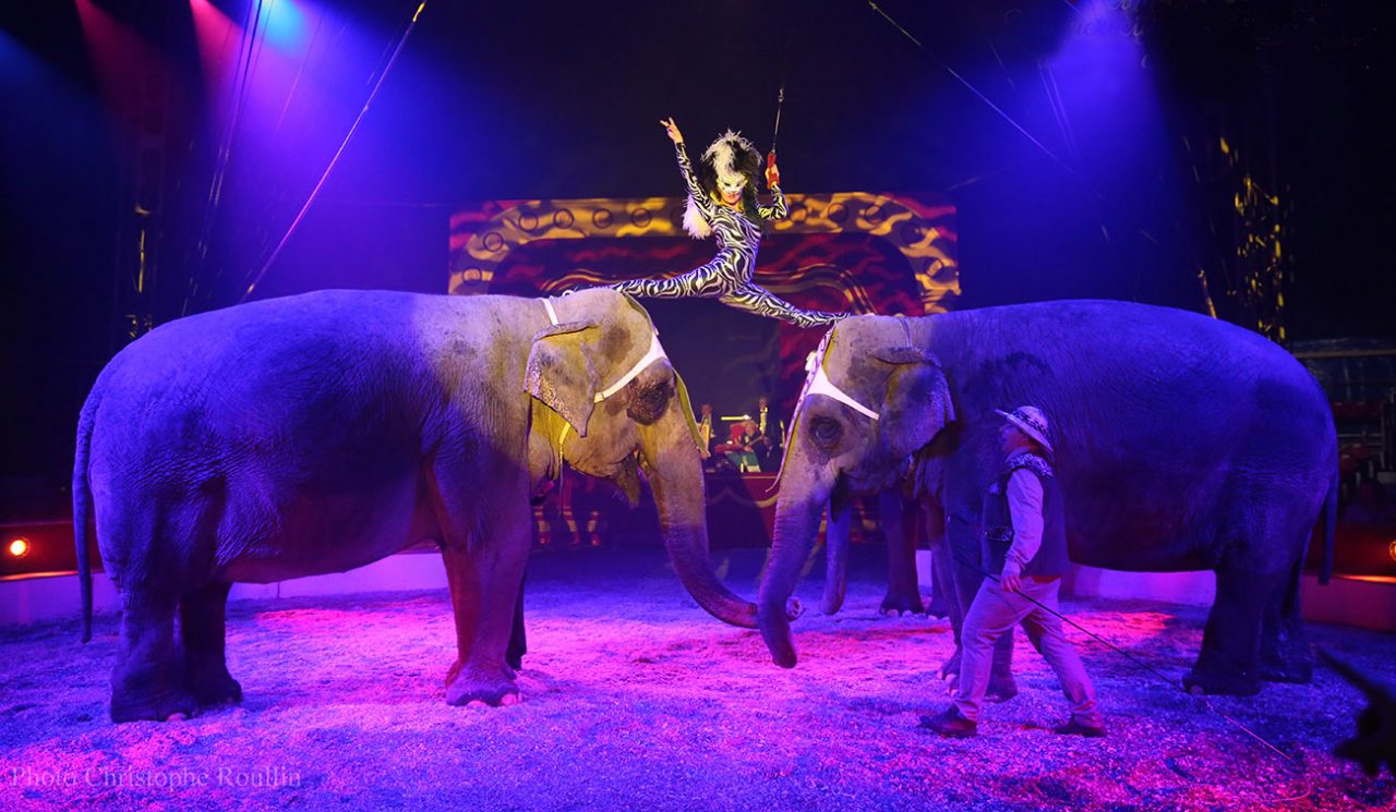 Torna a Verona l’American Circus con il nuovo show “The Dreamer”