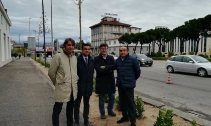 Tornano gli alberi in viale Piave
