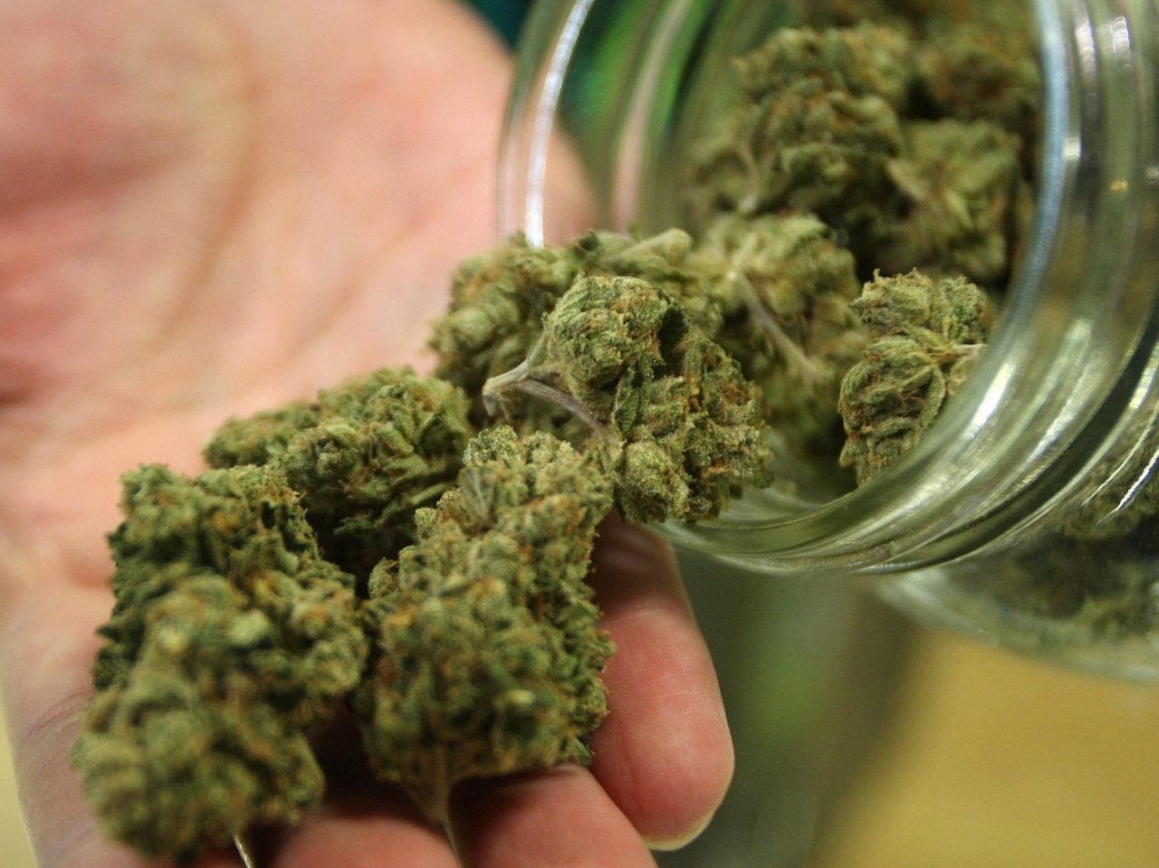Droga: nel 2018 in Veneto i sequestri sono diminuiti del 50,83%