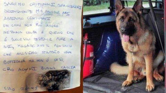 Gli spacciatori piangono Rocky, il cane antidroga della polizia di Thiene