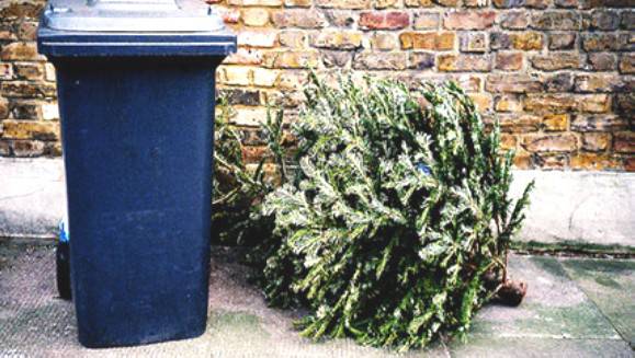 Ri-albero, il progetto per smaltire correttamente i vecchi alberi di Natale