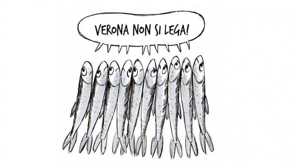 Le sardine prolificano: già oltre 7000 mila a Verona