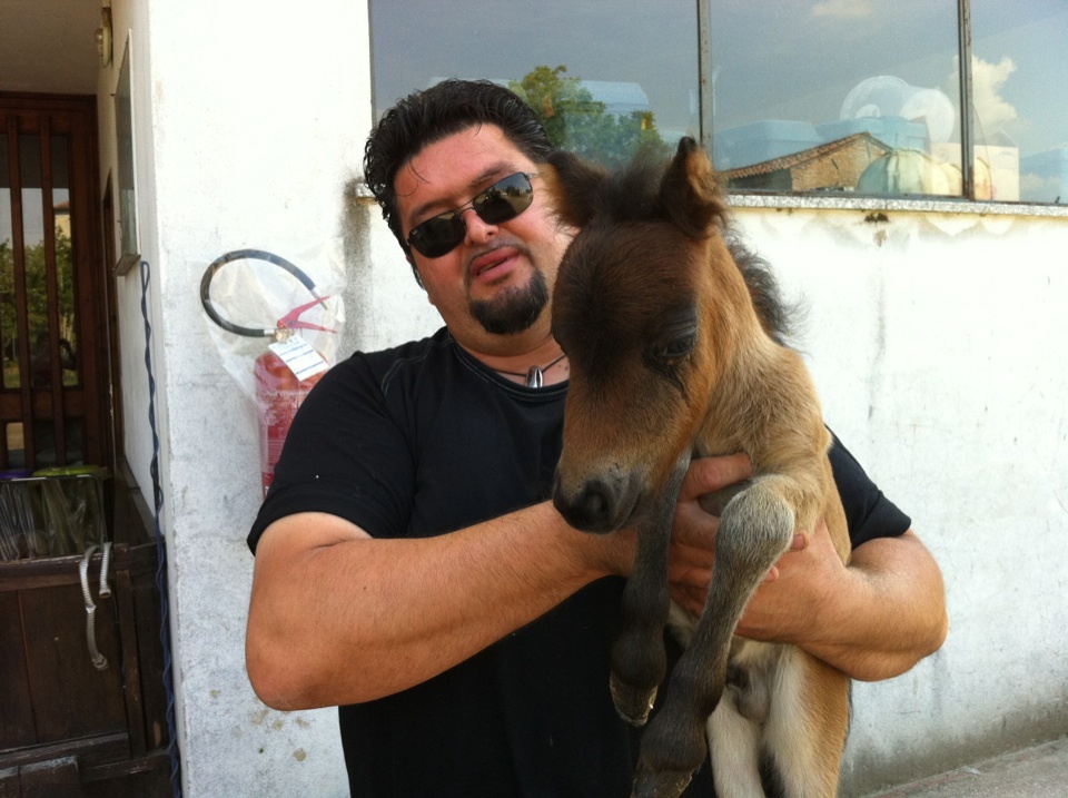 Massimo non è morto a causa dei morsi dei cani ma ha avuto un malore