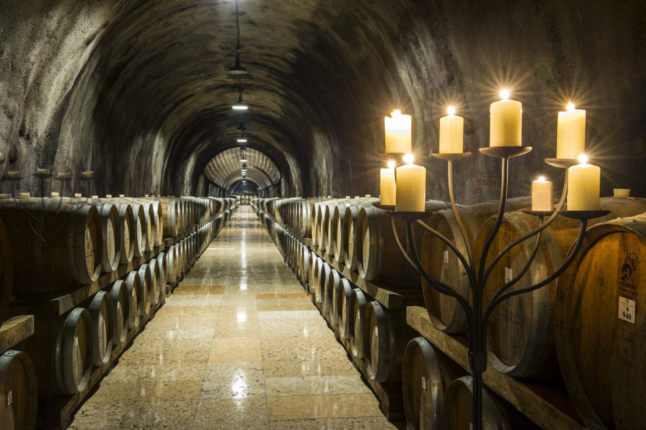 Direttore generale Bruno Trentini lascia la guida di Cantina di Soave