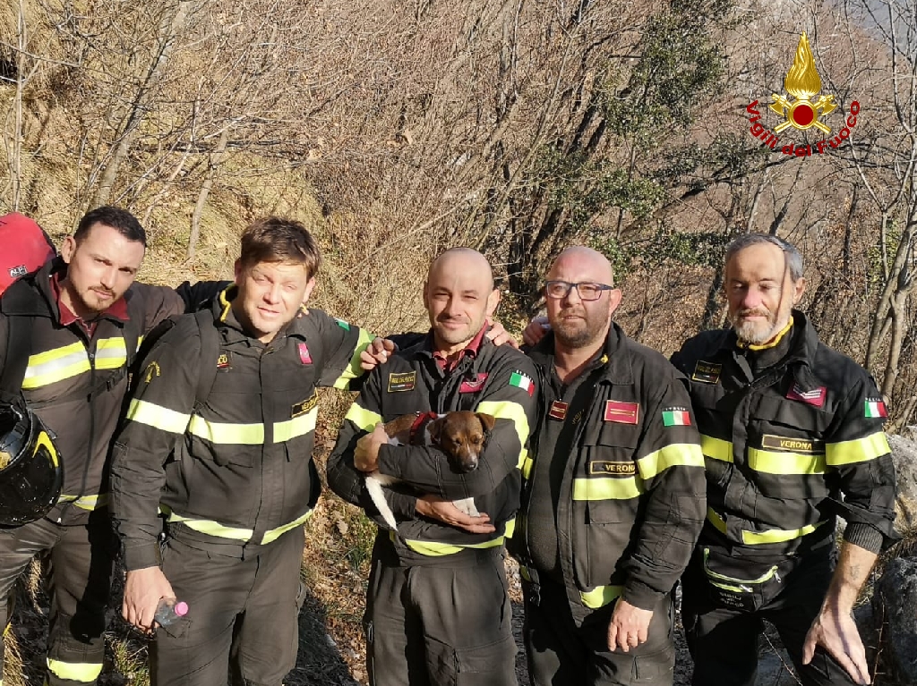 Avventura a lieto fine per Kira, cagnolina di 2 anni caduta nel dirupo