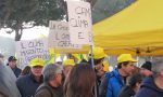 Fieragricola: oltre 4mila agricoltori a manifestare