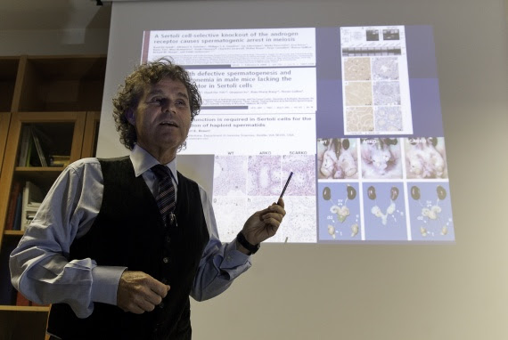 Pfas alterano la coagulazione del sangue, la scoperta a Padova