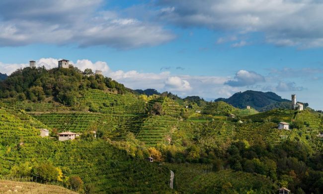 Glifosato e Prosecco, il consorzio Docg: “Non faremo passi indietro”