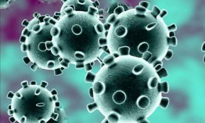 Veneto, i casi dei contagiati da Coronavirus salgono a 191