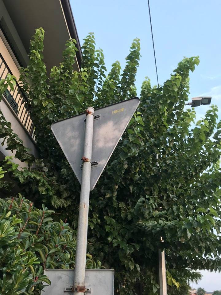 Scatta il segnale 5