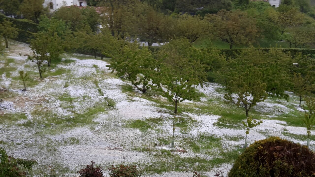 Condifesa Verona Codive: “Danni all’agricoltura: il 2019 batte tutti”